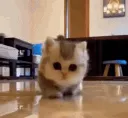 Hello