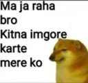 Sp_Ignore