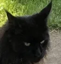 Bruh