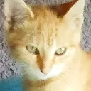 Lexie_Stare_2