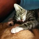 Kumi_Eeping_With_Lexie
