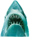 01_jaws