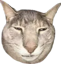 SCwhythelongface