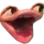 p0g p0g