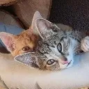 Kumi_Lexie_Peek
