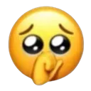 ydior1