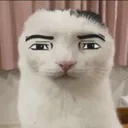 3sh1