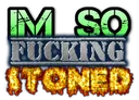 imsofuckingstoned