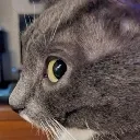 hewasforcedtolookatSUfeed
