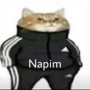 meme_swagcat