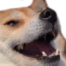 KEKDOG