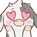 46213cowhearteyes
