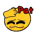 face_pat