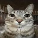 CarStare