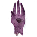 worldshand