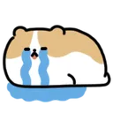 corgisad