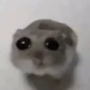 sadhampter