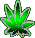 highweed