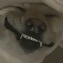 smiley