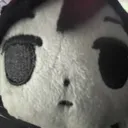 stare