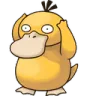 psyduck