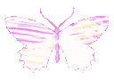 008pinkbutterflyholopastel