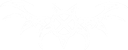 White wings depicted in a simple pixel art style against a black background.