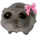 A sad-looking hamster wearing a pink bow on its head.