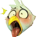 birdgasm