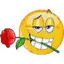 o_rose