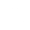 icon_guardianangel