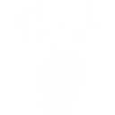 icon_magician