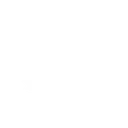 icon_zenithspeedrun