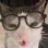 CatNerd