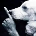 Hush
