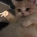emoji_21