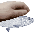 emoji_123