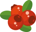 cranberries