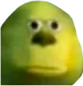 ShrekStare