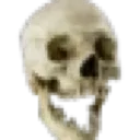 xLskull
