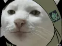 DA_yes DA_yes