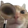 fuckyouinspect