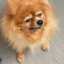 ohyes