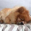 nap