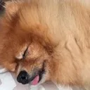 sleep