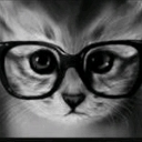nerdcat