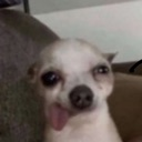 d_00silly Discord emoji