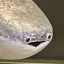 SacabambaspisWhat