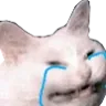 zirlayankedi