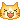 02c_Orangecatexcited
